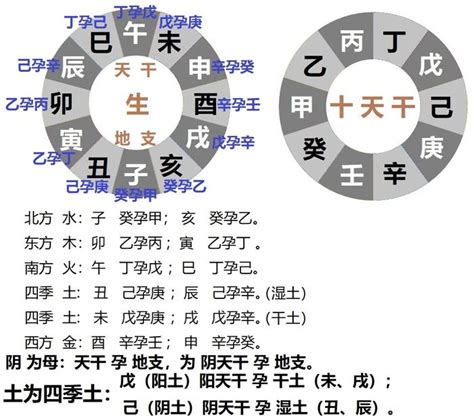 壬戌五行|十二地支藏干 十二地支五行属性对照表